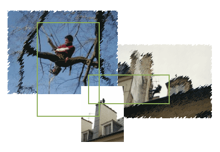 interventions en hauteur