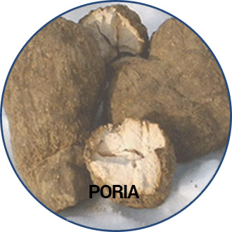 poria