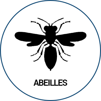 Abeilles