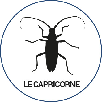 capricorne