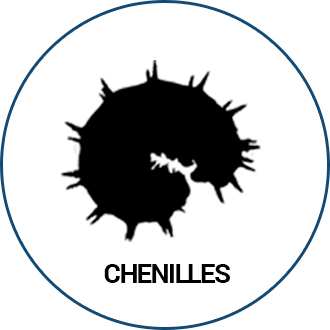 Chenilles