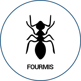 Fourmis