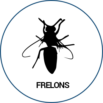 Frelons