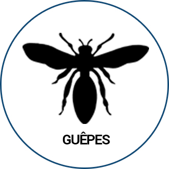 Guepes